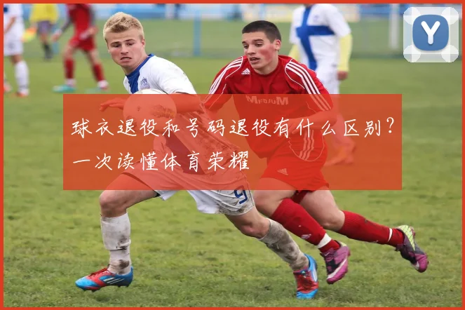 球衣退役和号码退役有什么区别?一次读懂体育荣耀