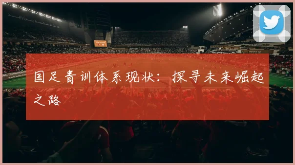 国足青训体系现状：探寻未来崛起之路