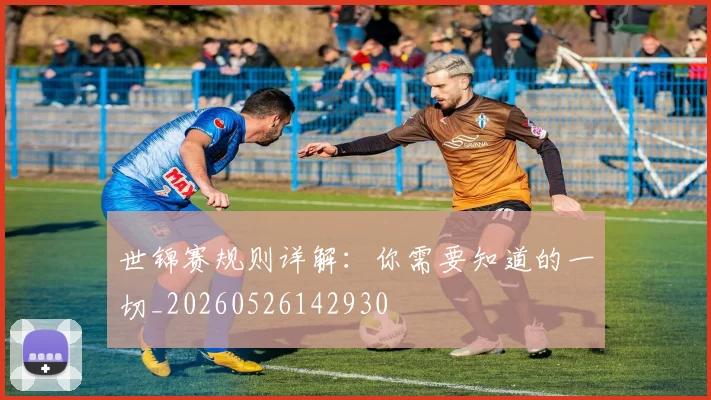 世锦赛规则详解：你需要知道的一切_20260526142930